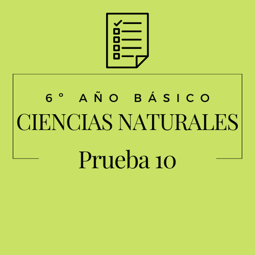 6º - Ciencias Naturales - Prueba 10