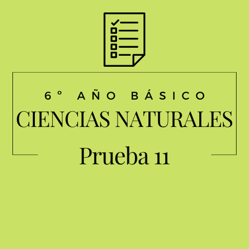 6º - Ciencias Naturales - Prueba 11