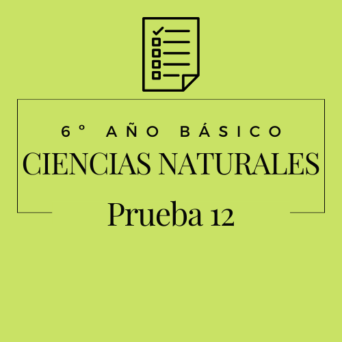 6º - Ciencias Naturales - Prueba 12