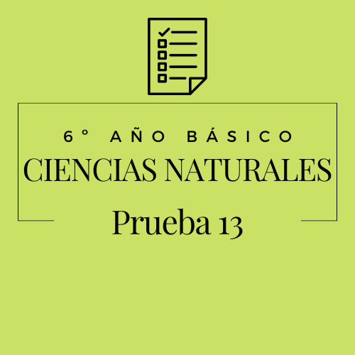 6º - Ciencias Naturales - Prueba 13
