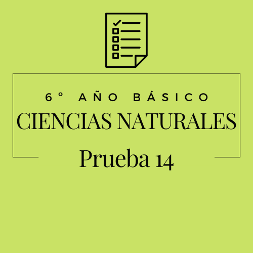 6º - Ciencias Naturales - Prueba 14