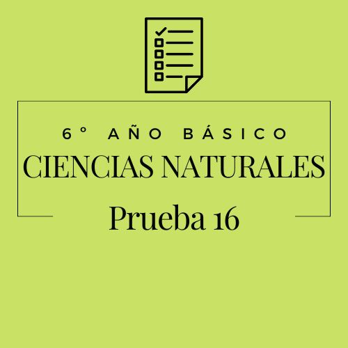 6º - Ciencias Naturales - Prueba 16