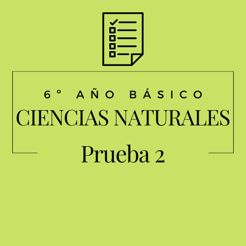 6º - Ciencias Naturales - Prueba 2