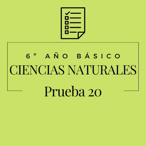 6º - Ciencias Naturales - Prueba 20