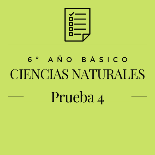 6º - Ciencias Naturales - Prueba 4