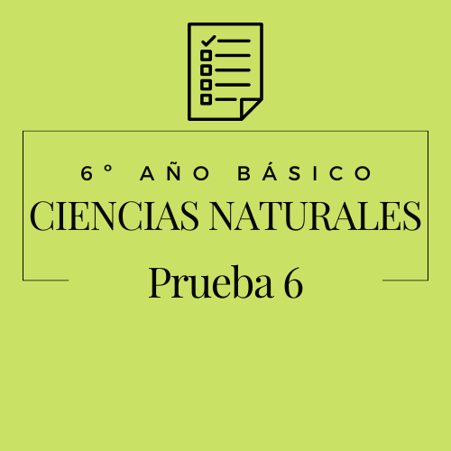 6º - Ciencias Naturales - Prueba 6
