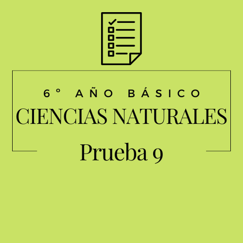 6º - Ciencias Naturales - Prueba 9